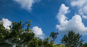 这才是我们记忆中的泗洪！梦回1991