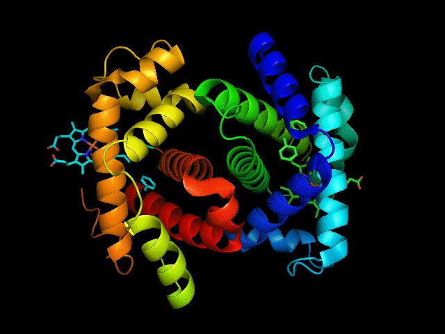 输血为什么要血型一样,为什么输血需要配型