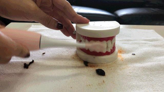 旋转式电动牙刷和声波式电动牙刷,智能成人电动牙刷声波洁牙神器