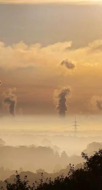 海棠修真记,海棠修仙记26