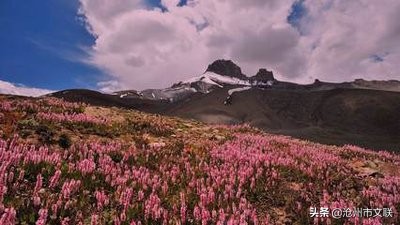 今生不渡此身更待何时渡原话,今生不借此生渡
