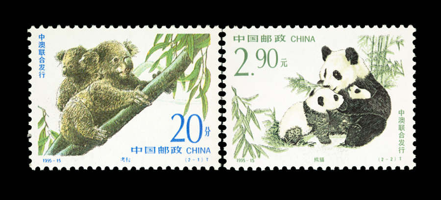 树袋熊其实不是熊什么意思,树袋熊其实不是熊有没有其他寓意