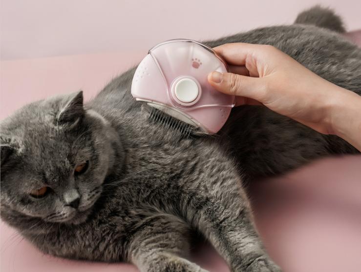 养猫养狗毛会被吸入肺里吗,家里养猫猫的毛会吸到肺里吗