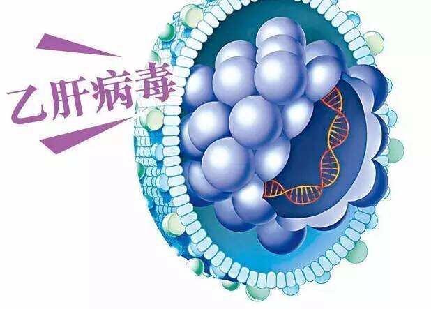 乙肝治愈新药的最新进展,先天性乙肝能彻底治愈吗