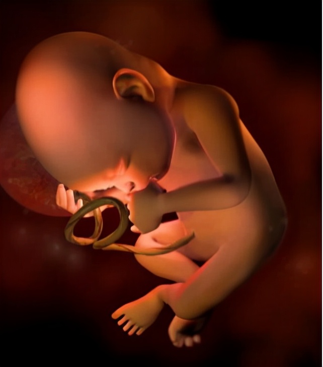 早产儿成长全过程,早产儿康复之路