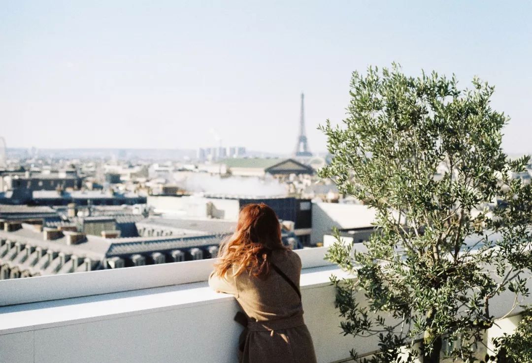 旅行thetravel1973,旅行traveltrip