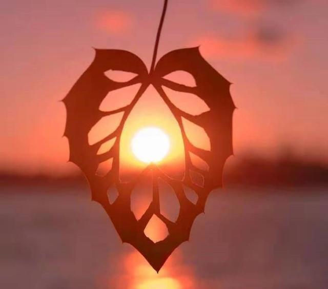 简单又暖心的晚安心语，经典温馨，愿美梦治愈你的难过！