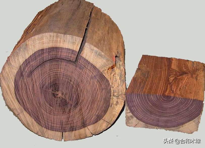 紫罗兰和赛州黄檀的区别,赛州黄檀是紫罗兰木吗