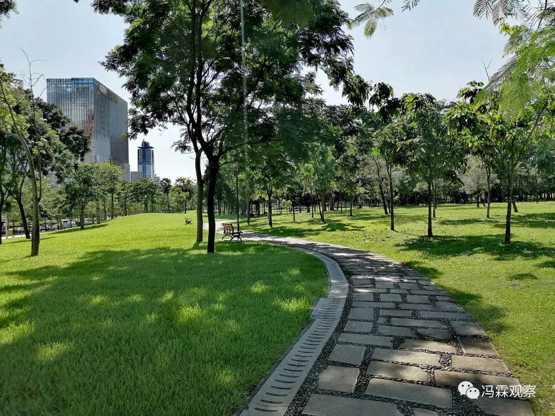 从清茶中飘出来的悠美短文！（文化观察之一O三）