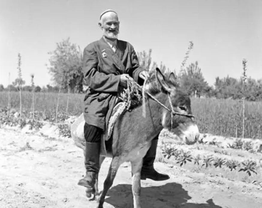 骑毛驴去看毛主席的库尔班，临终：后代参军报国，重孙女完成遗愿