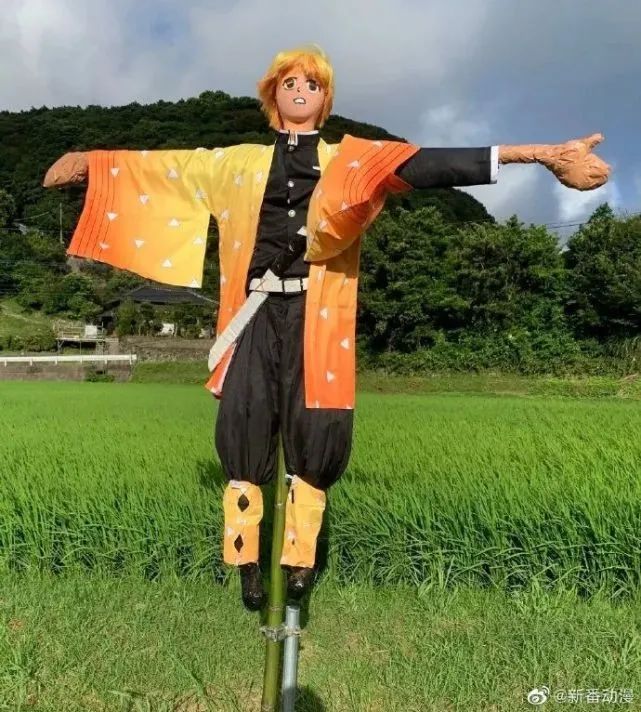 每日内涵囧图,每日囧图笑你一整天