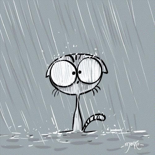 这9个猫界冷知识，你知道么？