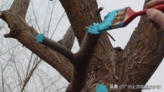 有伤口怎么办才会不疼,有伤口该怎么处理