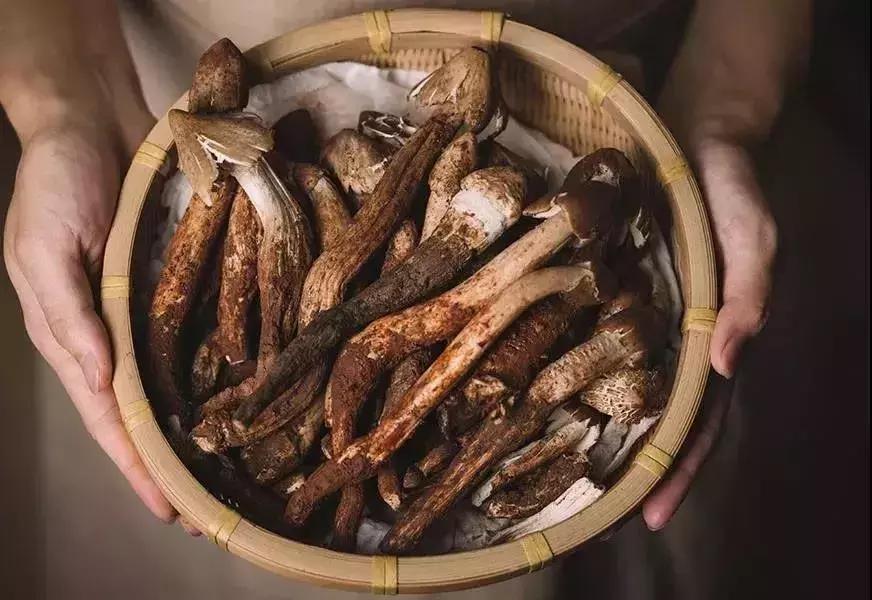 厦门藏在绿野仙踪里的花园餐厅,厦门藏很深的西餐厅