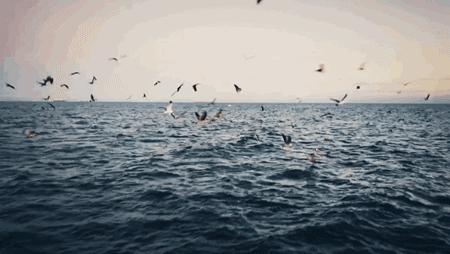 适合一个人孤独旅行的地方,最适合去流浪的小城