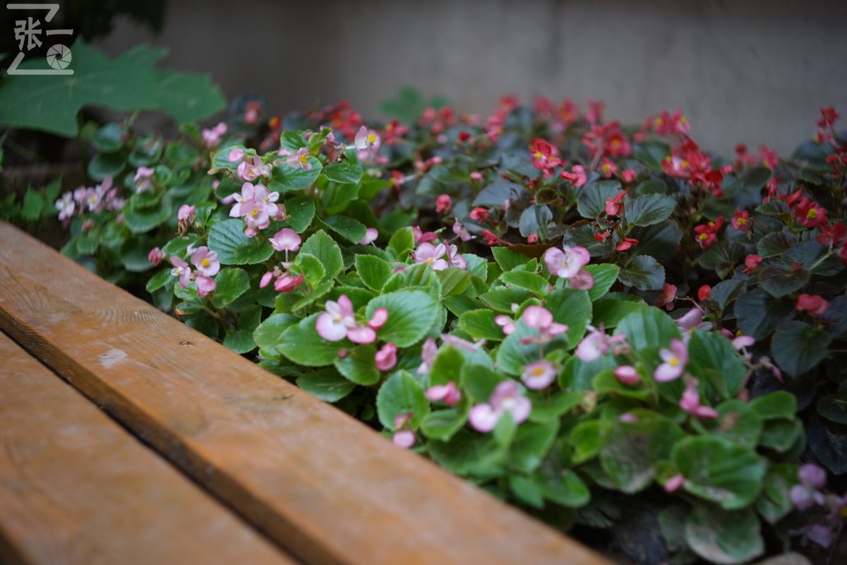 适合索尼a7m4的50定焦镜头测评,索尼a7m4镜头24-105f4测评