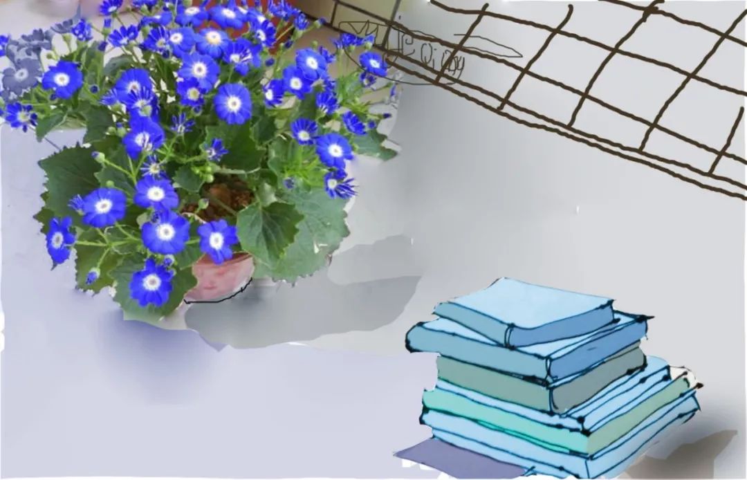 小学语文修辞知识点大全,小学语文古诗句复习