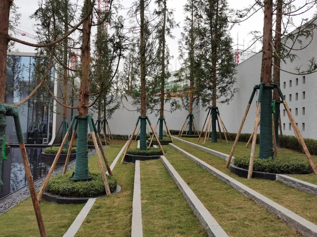 易境研学·重庆站|第二期