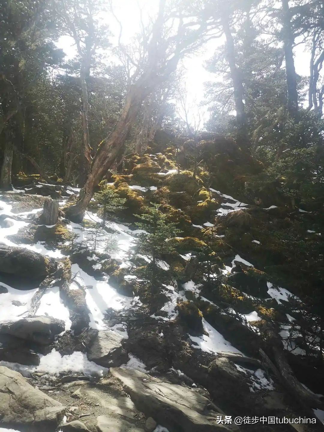 给我一个机会去爱你,给我一个机会让我去爱你