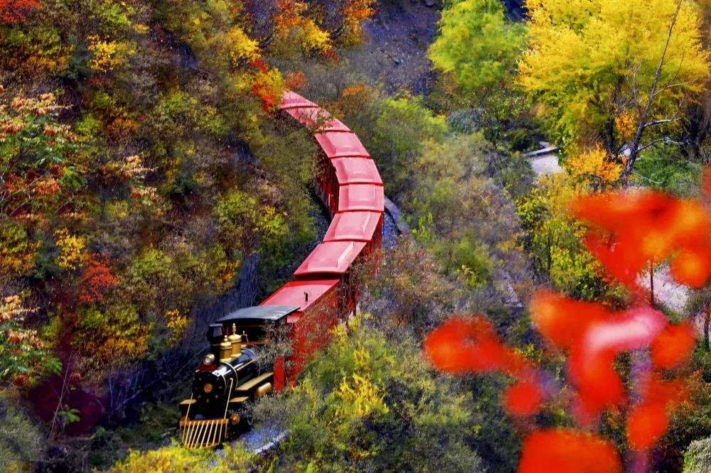 灏忎節瀵ㄥ弻榫欏场,浜タ灏忎節瀵ㄥ弻榫欏场