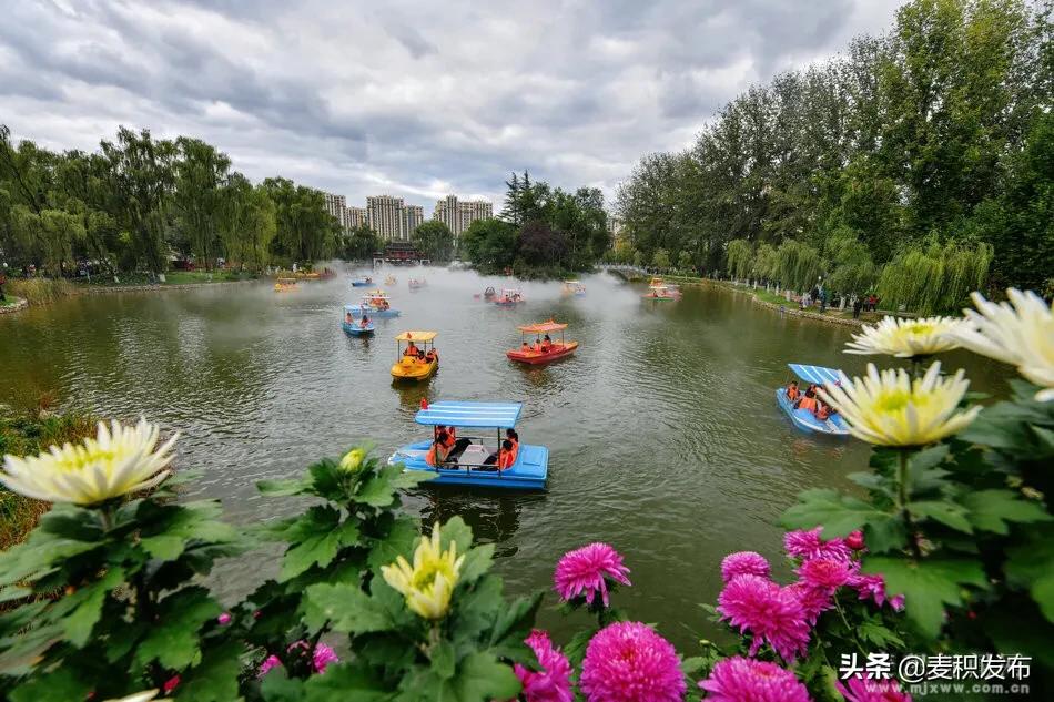 马跑泉公园有菊花展吗,庆祝菊花