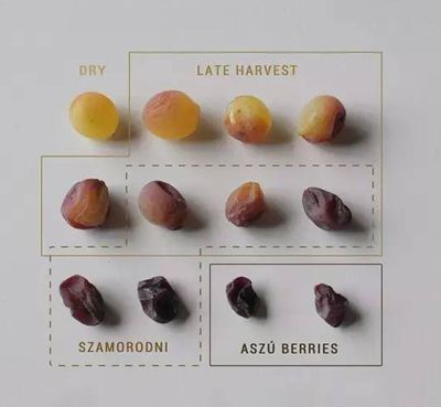 1978年的罗曼尼康帝葡萄酒,罗曼尼康帝干红葡萄酒2007