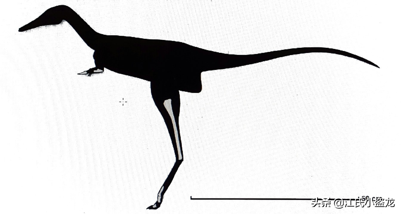 古生物时代有多少种恐龙,人类已经发现了多少恐龙种类