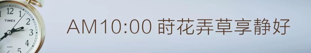 太太的一天，在永丰乐城·公园里的慢调生活时光
