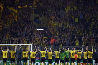 足球运动的发展史和重大事件,关于足球的历史和现状