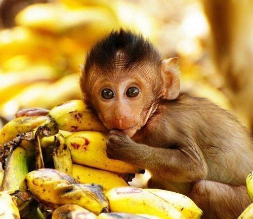 怎么解决考试粗心问题,考试的时候老是犯低级错误怎么办