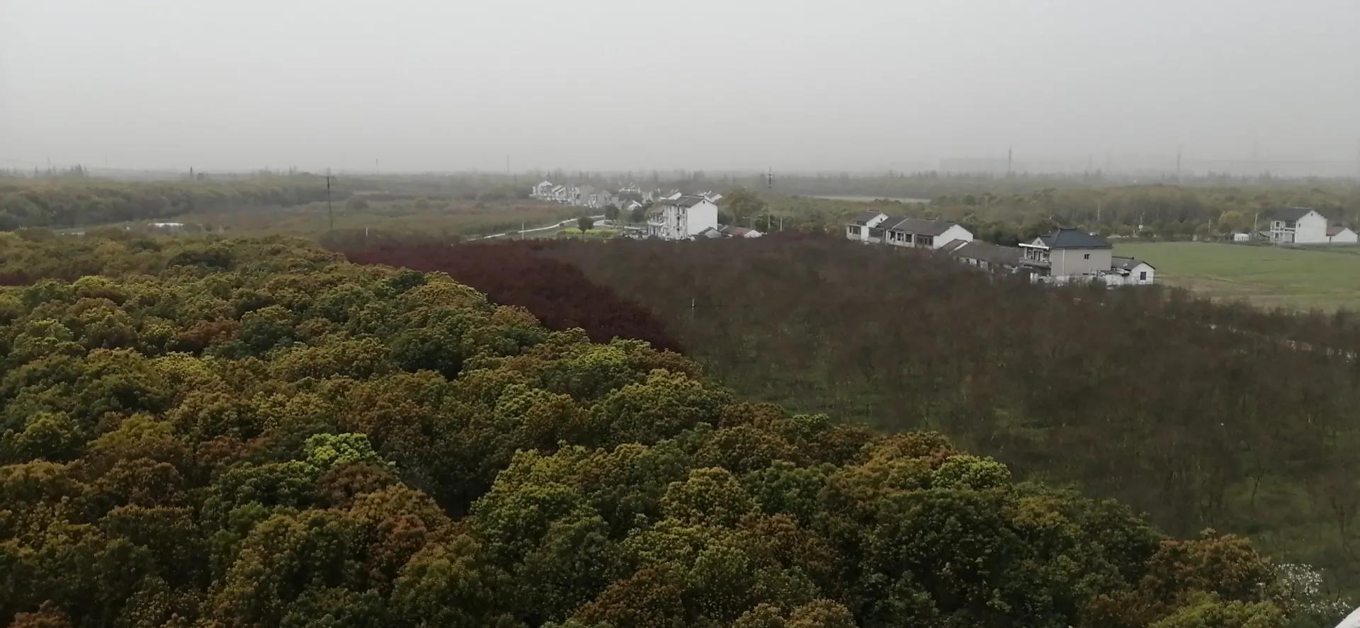 有实力却被埋没的演员,被当巨星培养的艺人