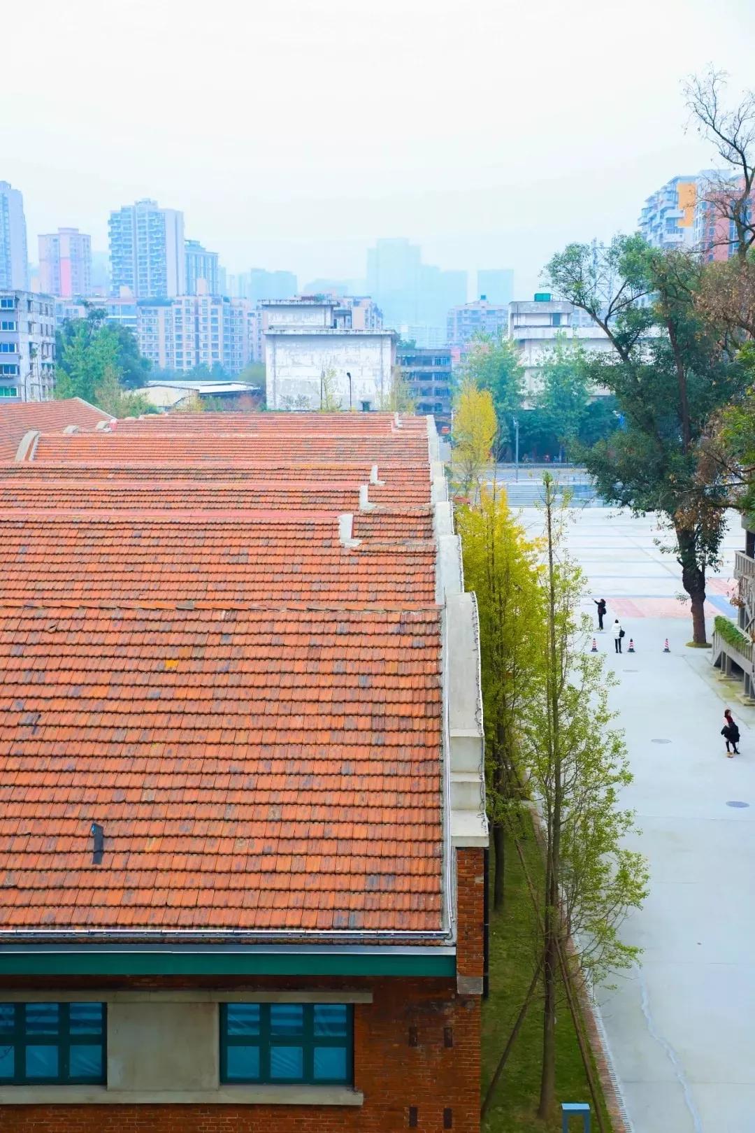 成都最有潜力的花园,成都是个大花园