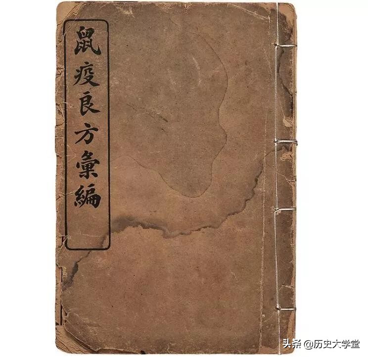 鼠疫世界历史,鼠疫是世界上最厉害的瘟疫吗