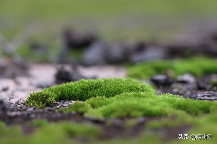 赣州峰山附近一日游自驾游景点,赣州峰山美景