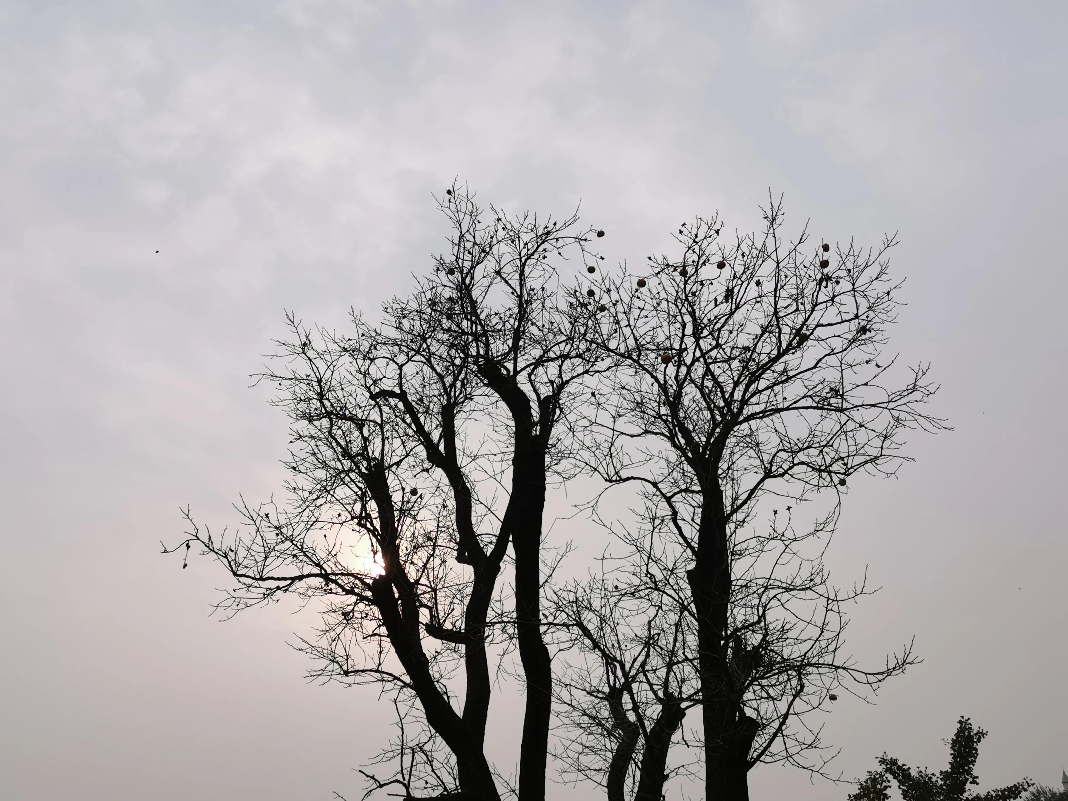 青岛崂山石老人观光园免门票吗,青岛石老人观光园景点图片