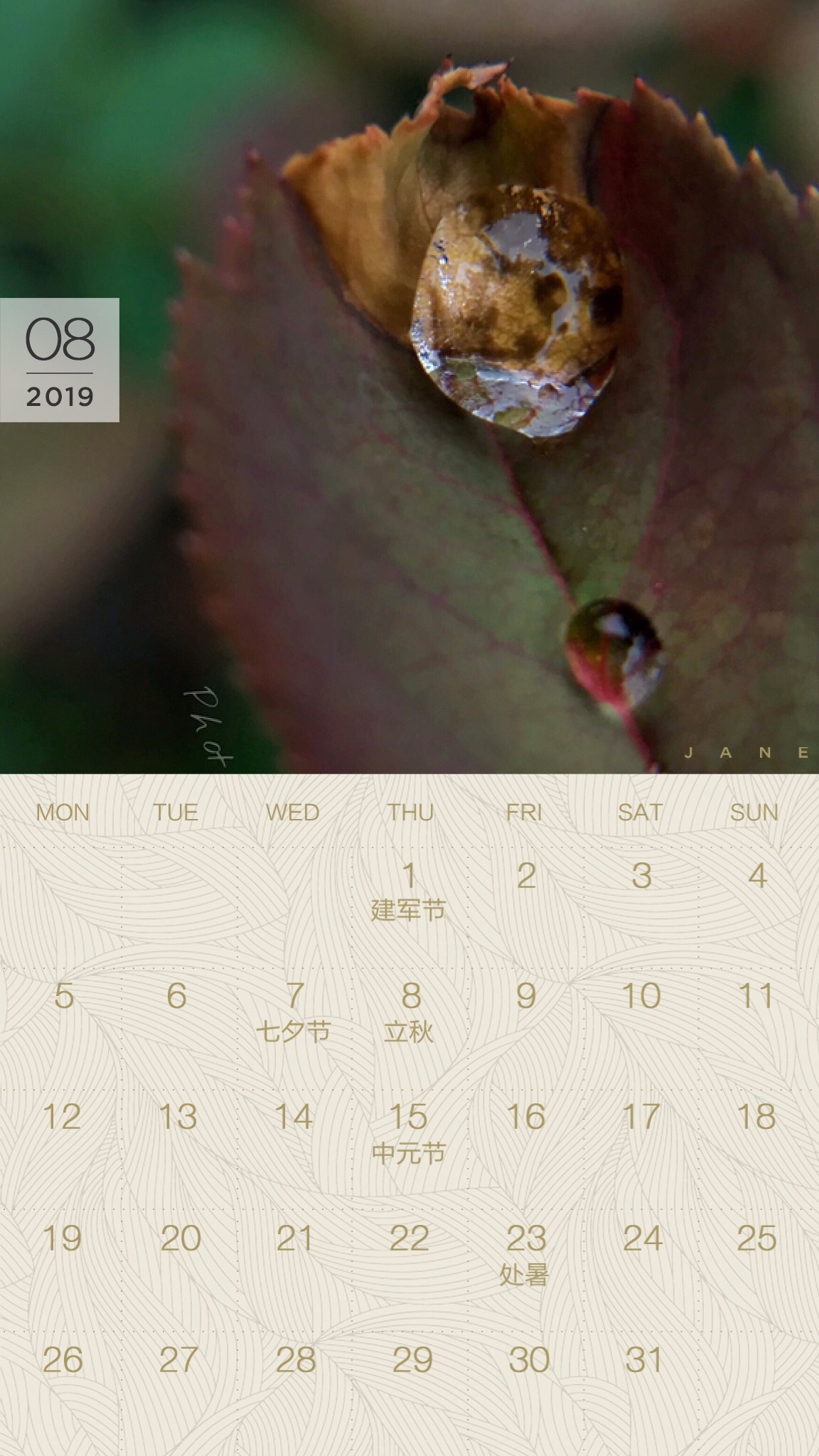 送你一张凉快动态壁纸,大暑送你清凉壁纸