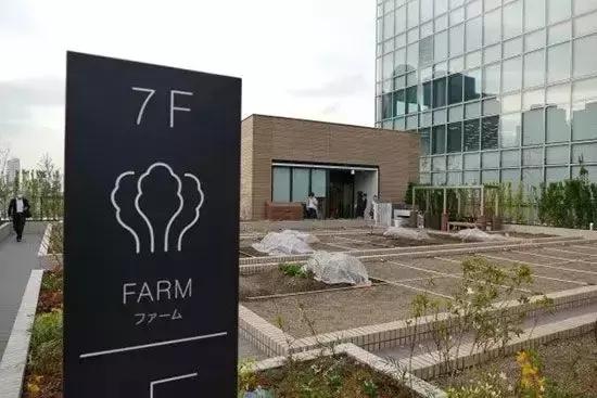 “贩卖少女心”这件事，日本的购物中心都是怎么做的？