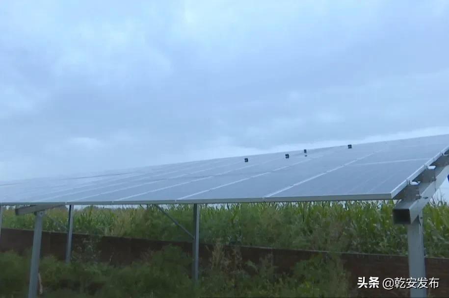 乡村振兴新邵乡镇在行动,乡村振兴再发力宜居宜业谱新篇