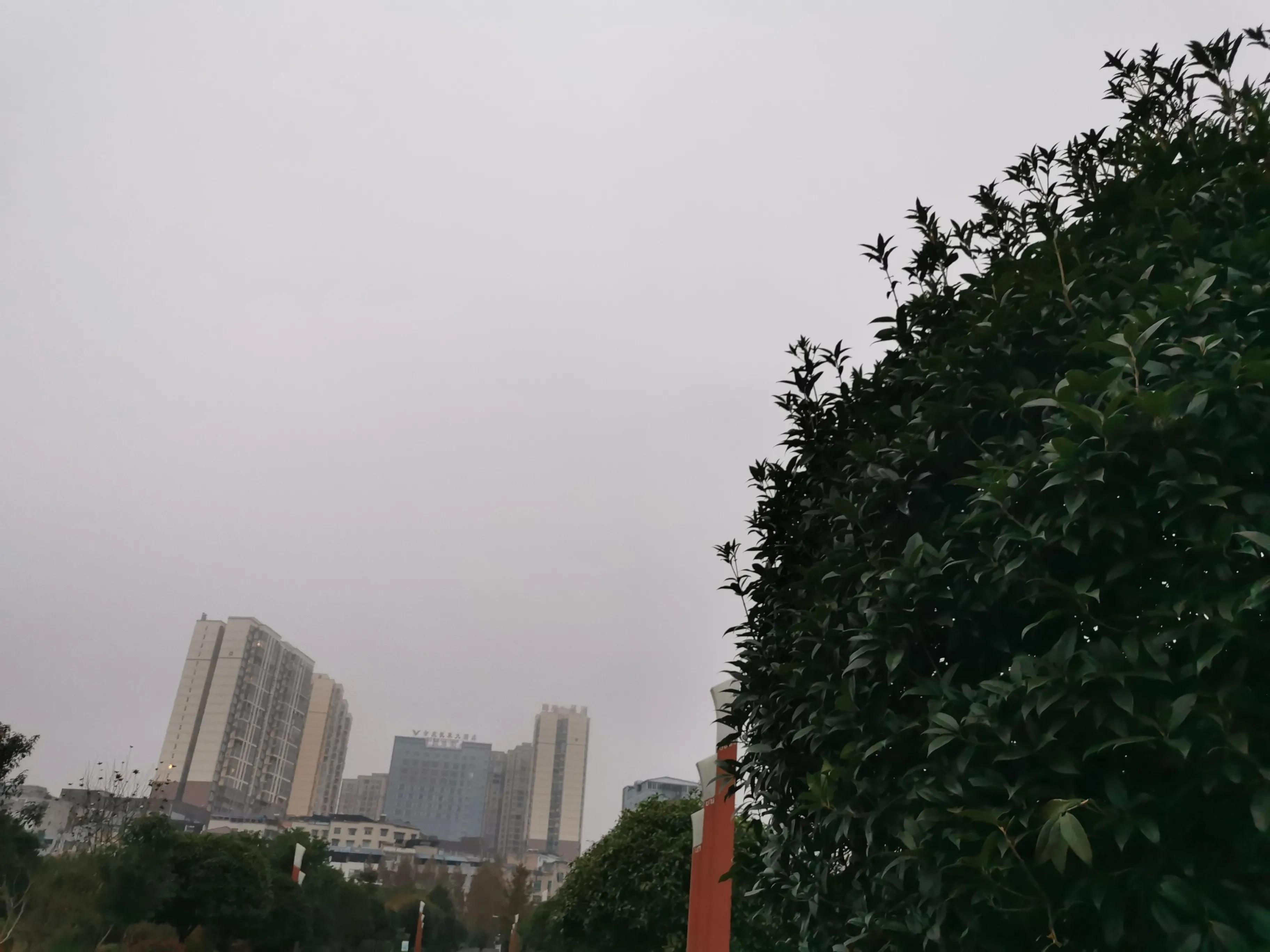 吹在旷野的风图片,吹旷野的风下一句