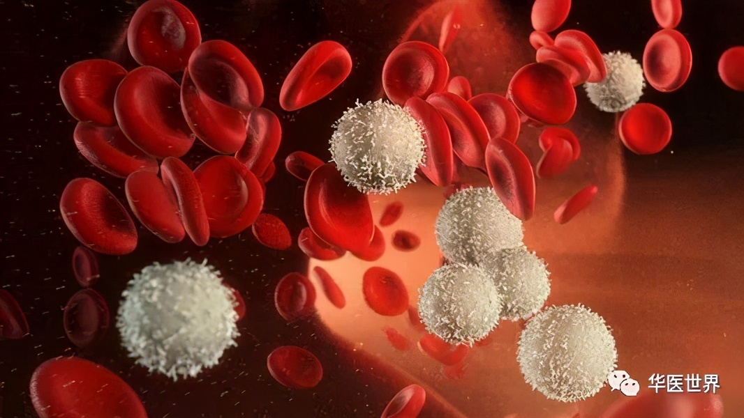 秦伯未中医学习资料,秦伯未医术