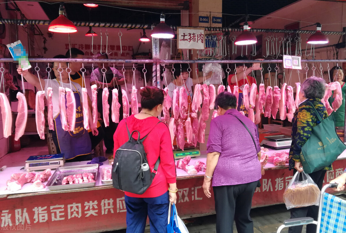 猪价上涨猪企存在机会,猪价走势微调后市上涨迹象明显