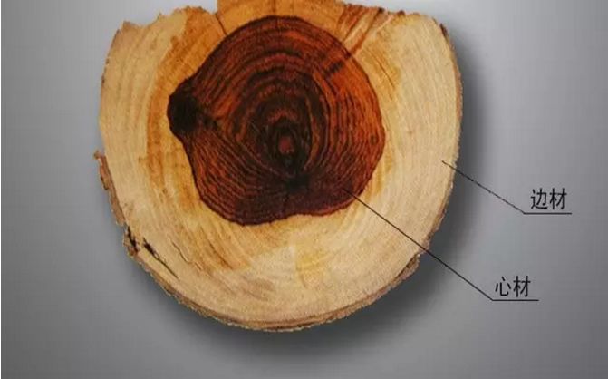 国标红木29种高清图,29种国标红木排名及价格