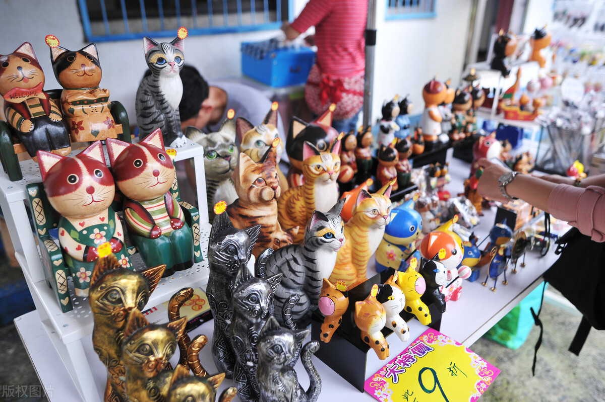 厦门顶级猫街介绍,厦门猫街值得去吗