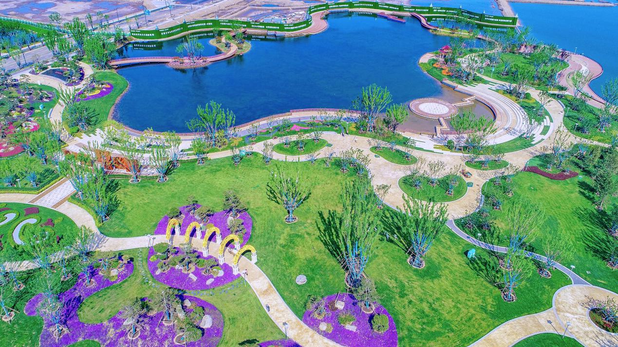 沧州滨海恒大文化旅游城：圈粉无数，狂掀绿色风暴