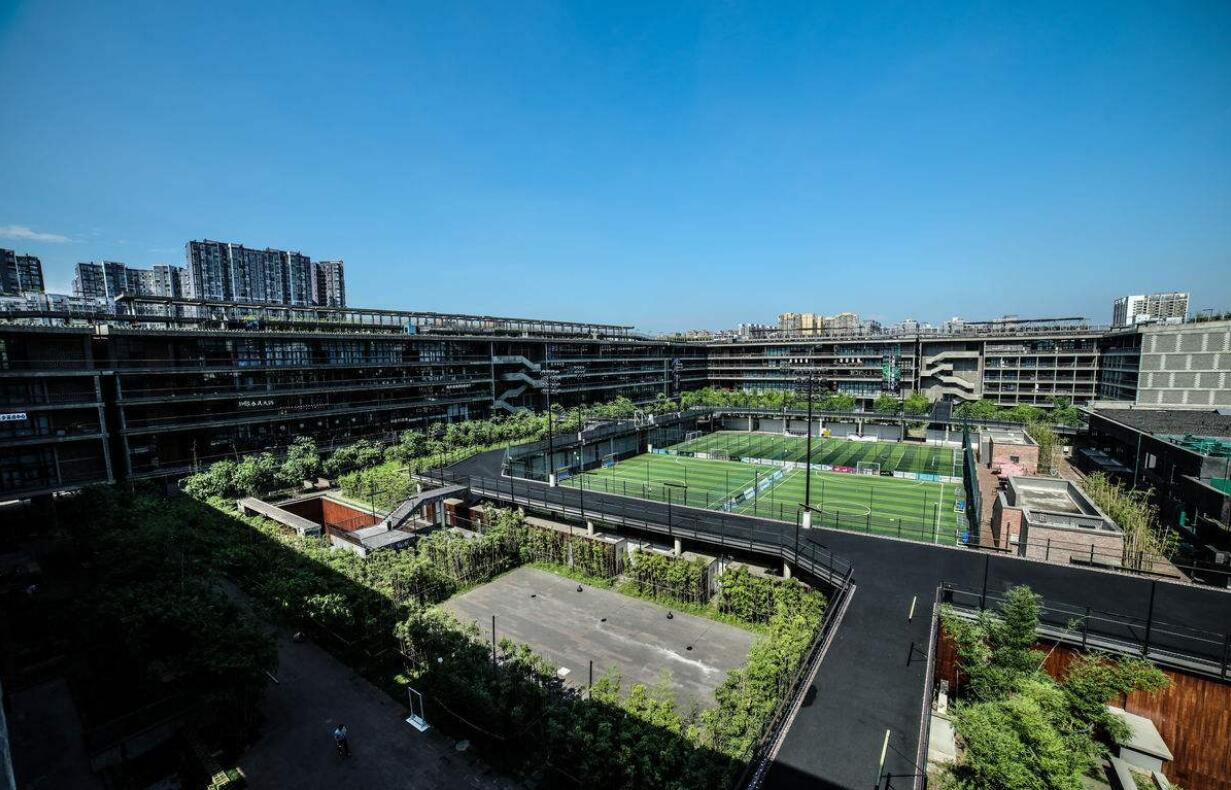 成都周边春季徒步旅游攻略,成都森林徒步旅游攻略