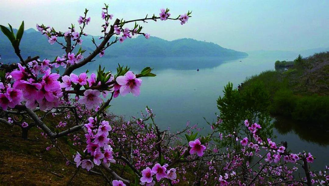 沈阳日报12月13日,沈阳新闻9月16日