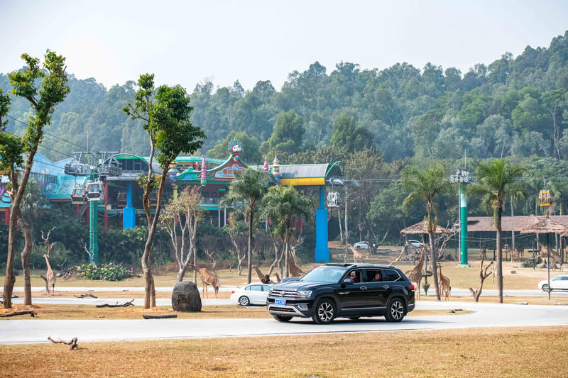 广州长隆野生动物世界旅游攻略,长隆野生动物世界攻略2-3天广州游