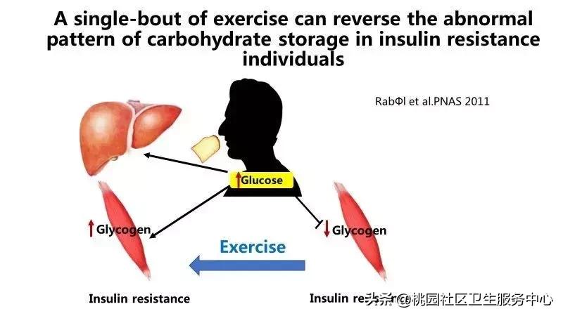 甜蜜的杀手带您了解糖尿病,逆转糖尿病科学饮食法