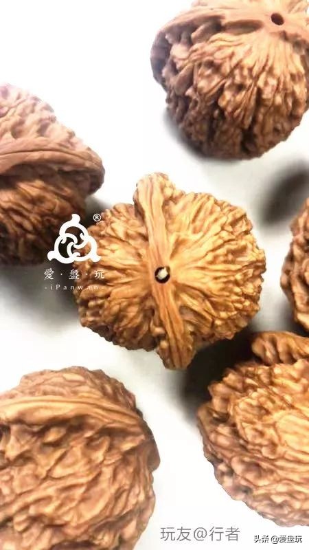 放了2年的凤眼，翻出来，虫子能组一个篮球队了