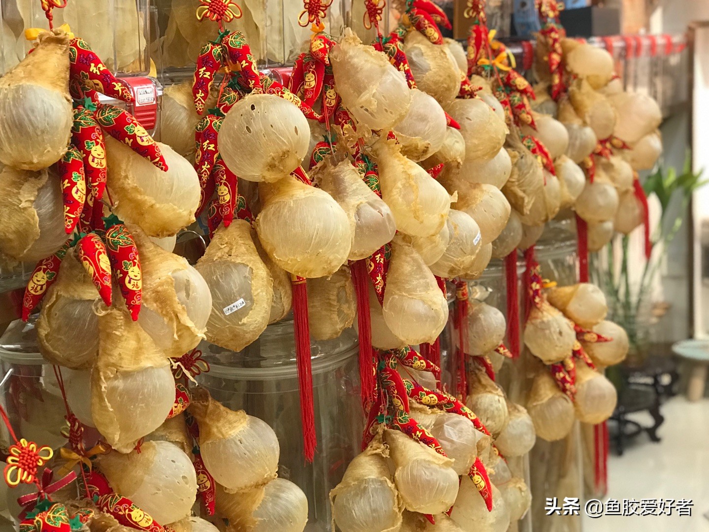 鱼胶正确的泡发方法和做法,鱼胶的制作方法最正宗